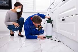 Trusted Geneva, FL Pest control Experts